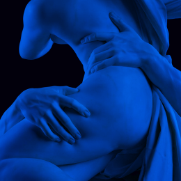 Bernini kroppar
