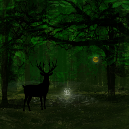 Mushrooms in forest III