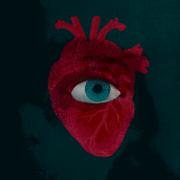 Seeing Heart