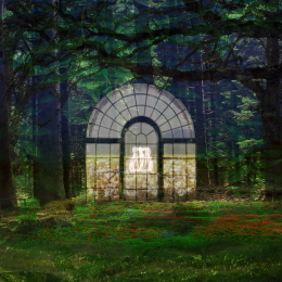 Window to beauty